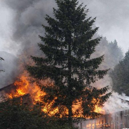 Katastrophe und Neubeginn